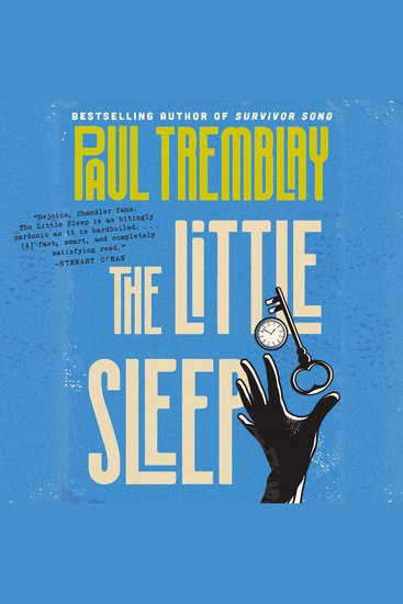The Little Sleep - A Novel - cover
