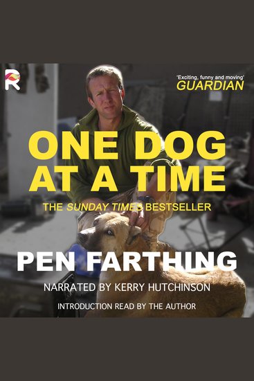 One Dog at a time - cover