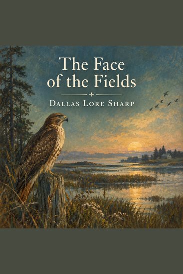 The Face of the Fields - cover