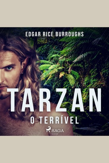 Tarzan o terrível - cover