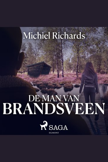 De man van Brandsveen - cover