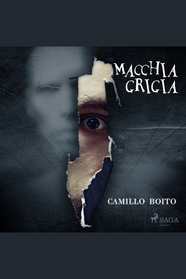 Macchia grigia - cover
