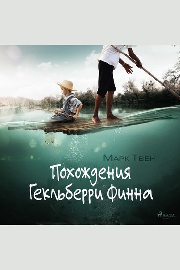 Похождения Гекльберри Финна - cover