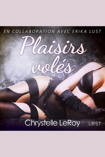 Plaisirs volés - Une nouvelle érotique - cover