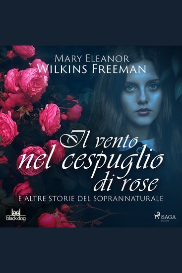 Il vento nel cespuglio di rose e altre storie del soprannaturale - cover