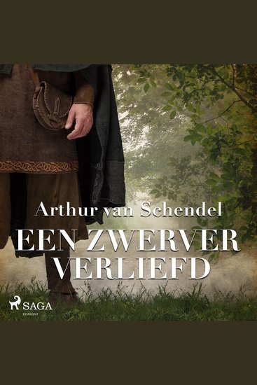 Een zwerver verliefd - cover