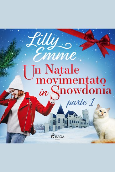 Un Natale movimentato in Snowdonia – parte 1 - cover