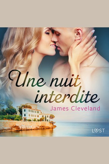 Une nuit interdite - une nouvelle érotique - cover