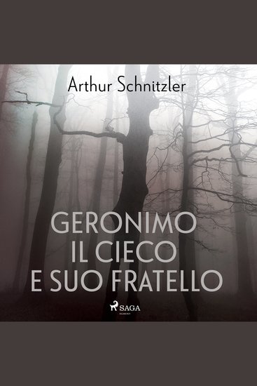 Geronimo il cieco e suo fratello - cover