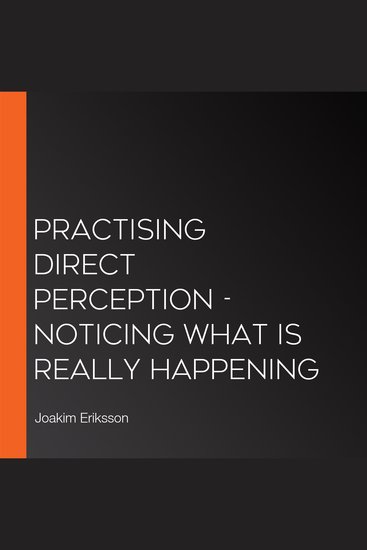 Practising Direct Perception - Noticing What Is Really Happening - cover