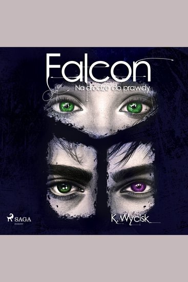 Falcon III Na drodze do prawdy - cover