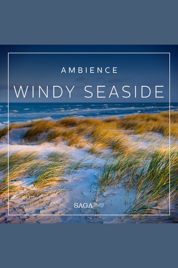Ambience - Windy seaside - cover