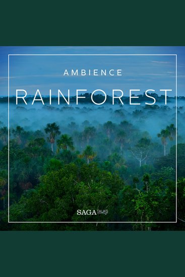 Ambience - Rainforest - cover