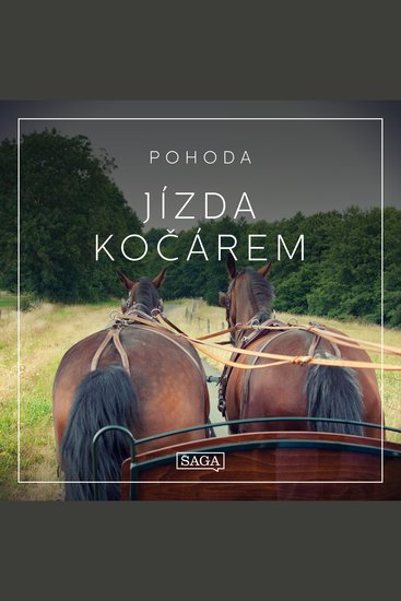 Pohoda - Jízda kočárem - cover