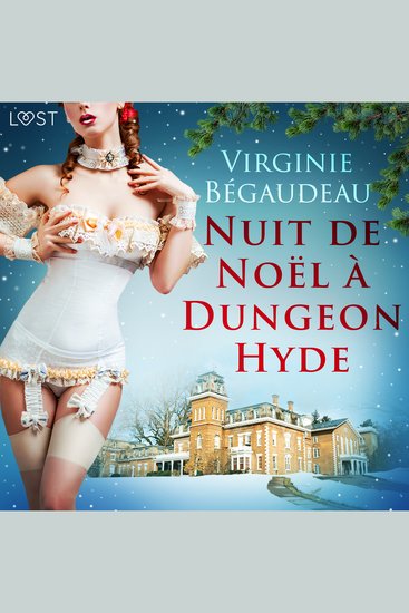 Nuit de Noël à Dungeon Hyde – Une nouvelle érotique - cover