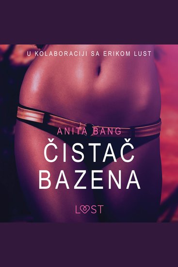 Čistač Bazena - Seksi erotika - cover