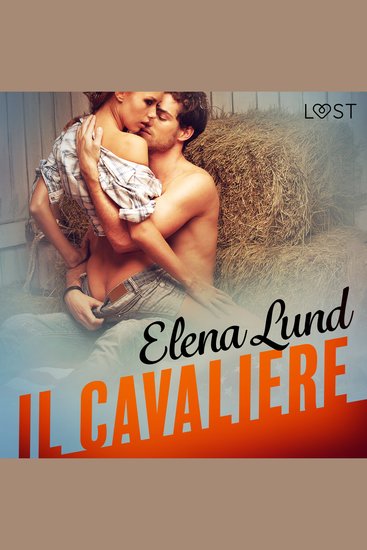 Il cavaliere - Breve racconto erotico - cover