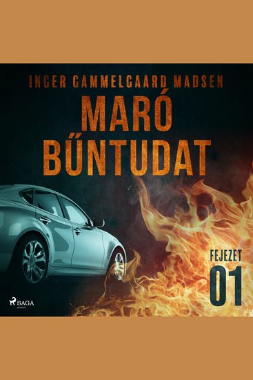 Maró bűntudat – 1 fejezet - cover