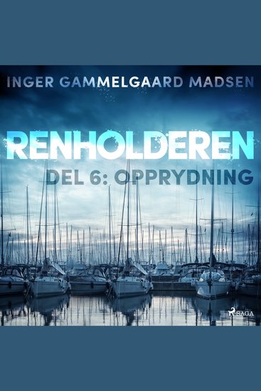 Renholderen 6: Opprydning - cover
