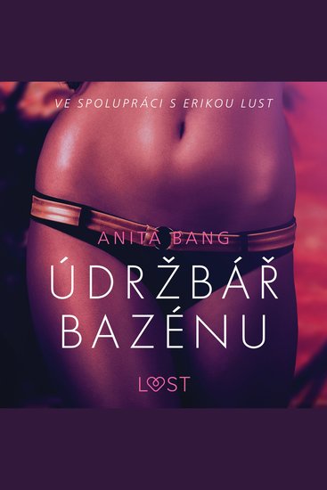 Údržbář bazénu – Sexy erotika - cover