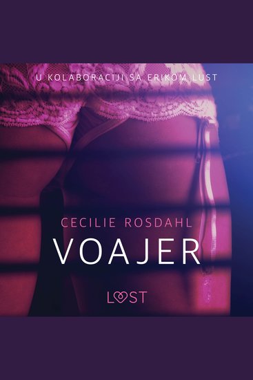 Voajer - Seksi erotika - cover
