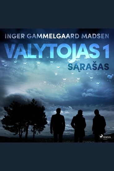 Valytojas 1: Sąrašas - cover