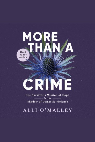 More than a Crime - One Survivor’s Mission of Hope in the Shadow of Domestic Violence - cover