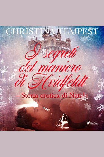 I segreti del maniero di Hvidfeldt - Storia erotica di Natale - cover