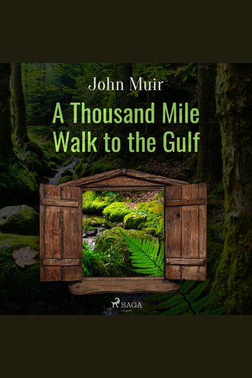 A Thousand Mile Walk to the Gulf - cover
