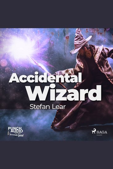 Accidental Wizard - cover