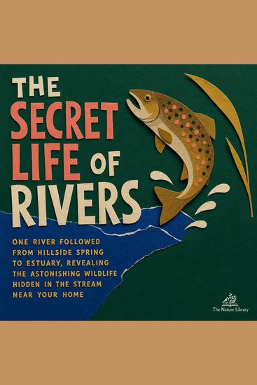 The Secret Life of Rivers - One River Followed from Hillside Spring to Estuary Revealing the Astonishing Wildlife Hidden in the Stream Near Your Home - cover