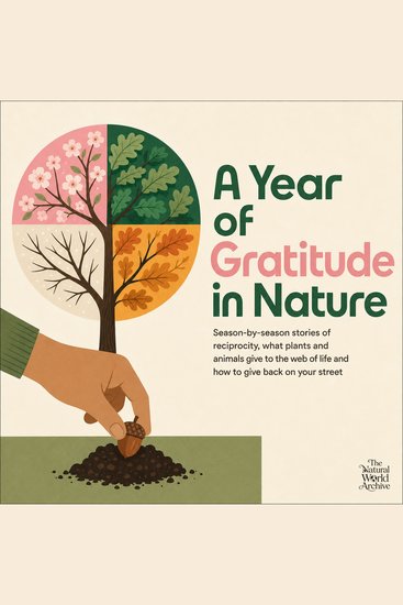 A Year of Gratitude in Nature - Season by Season Stories of Reciprocity What Plants and Animals Give to the Web of Life and How to Give Back on Your Street - cover