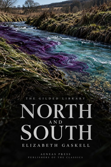 North and South - A Southern Clergyman's Daughter in a Mill Town - cover