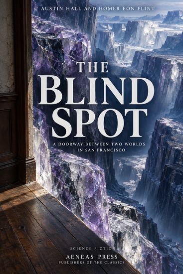 The Blind Spot - A Doorway Between Two Worlds in San Francisco - cover