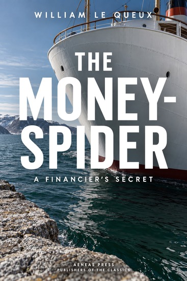 The Money-Spider - A Financier's Secret - cover