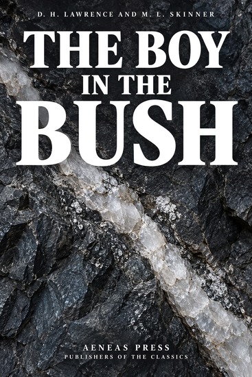 The Boy in the Bush - cover