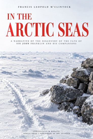 In the Arctic Seas - A Narrative of the Discovery of the Fate of Sir John Franklin and his Companions - cover