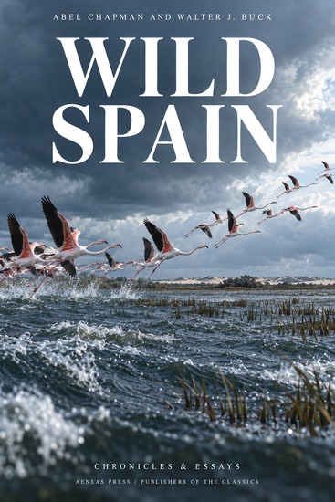 Wild Spain - Sport and Natural History in the Peninsula - cover