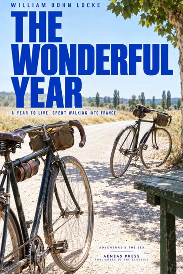 The Wonderful Year - A Young Englishman Adrift in France - cover
