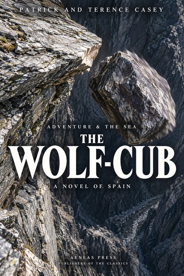 The Wolf-Cub - A Novel of Spain - cover