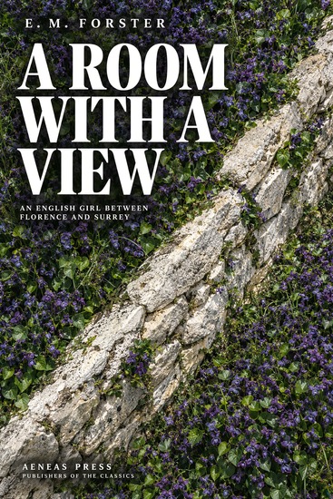 A Room with a View - An English Girl Between Florence and Surrey - cover