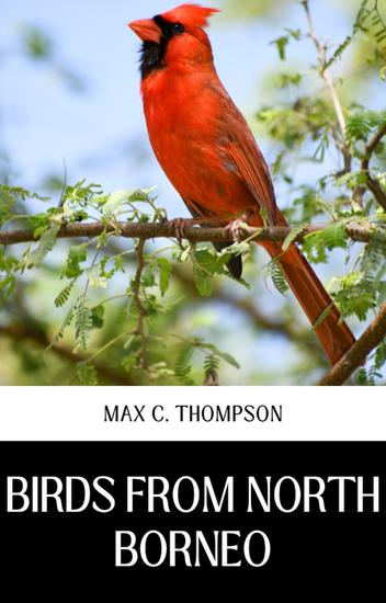 Birds from north borneo - cover