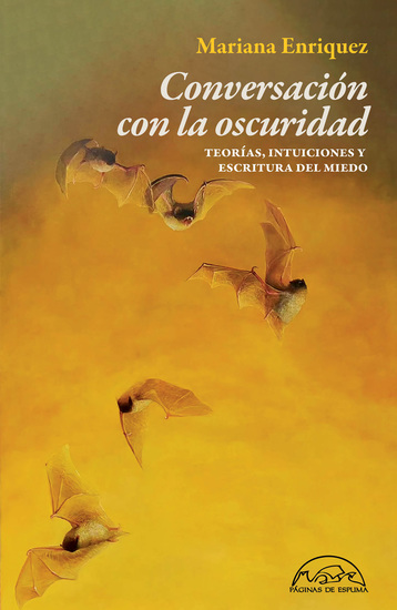 Conversación con la oscuridad - cover