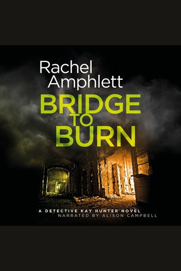 Bridge to Burn - cover