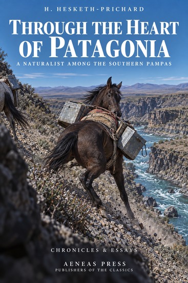 Through the Heart of Patagonia - A Naturalist Among the Southern Pampas - cover