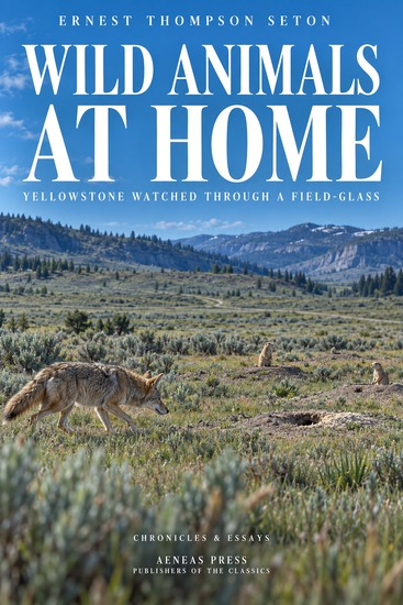 Wild Animals at Home - Yellowstone Watched Through a Field-Glass - cover