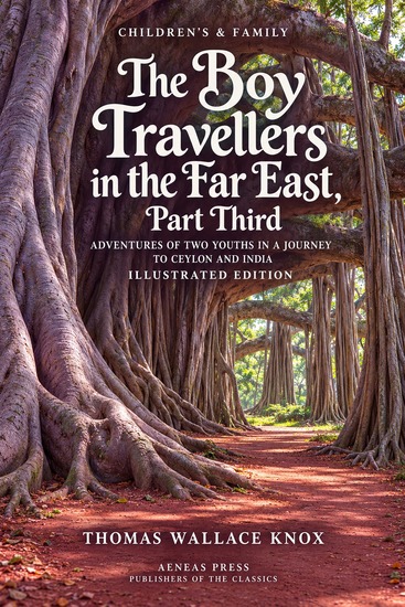 The Boy Travellers in the Far East Part Third - Adventures of Two Youths in a Journey to Ceylon and India - cover