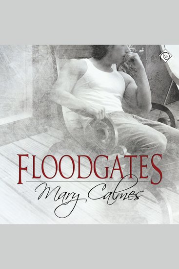 Floodgates (Unabridged) - cover