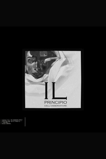 Il principio dell'osservatore - Alla ricerca del significato - cover