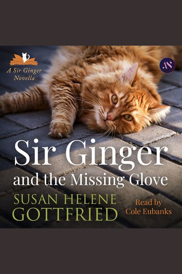 Sir Ginger and the Missing Glove - cover